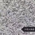 巴中 芙蓉白（芝麻白大花）火烧面