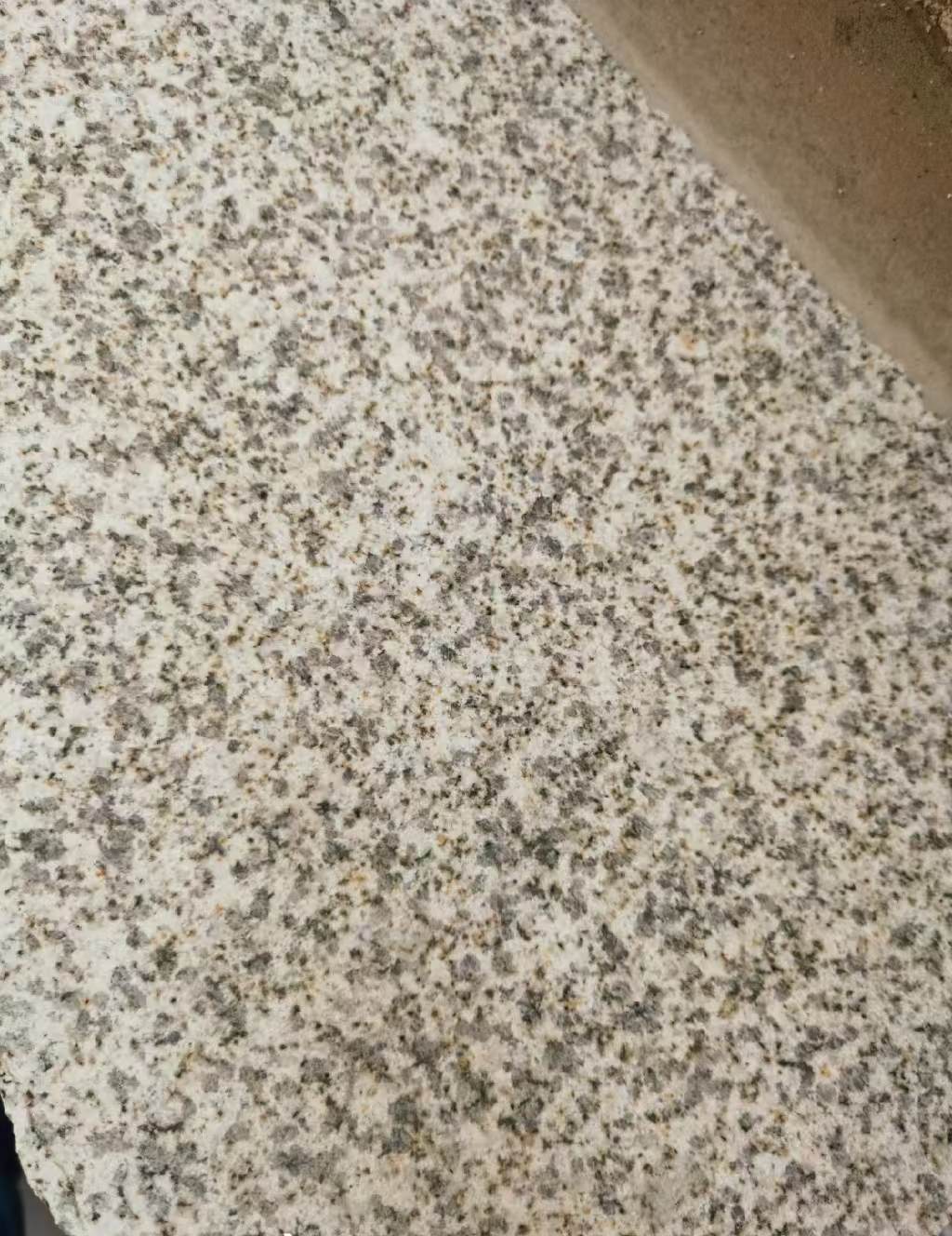 巴中 黄金麻中黄光面