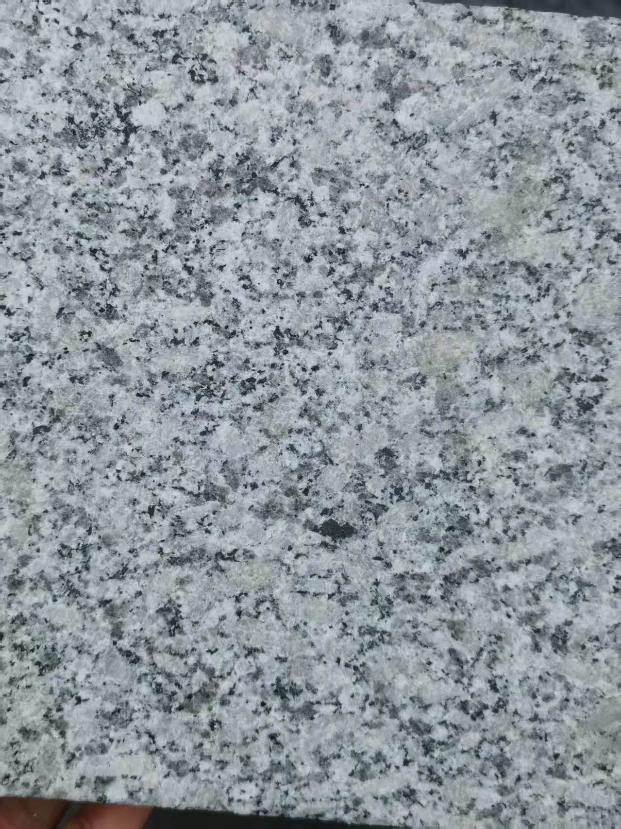 巴中 芙蓉白火烧面