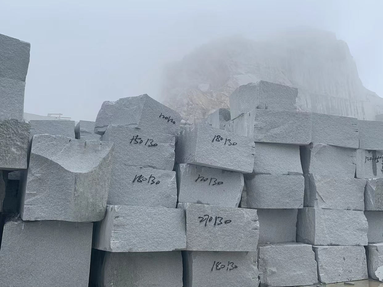 巴中芝麻白花岗石